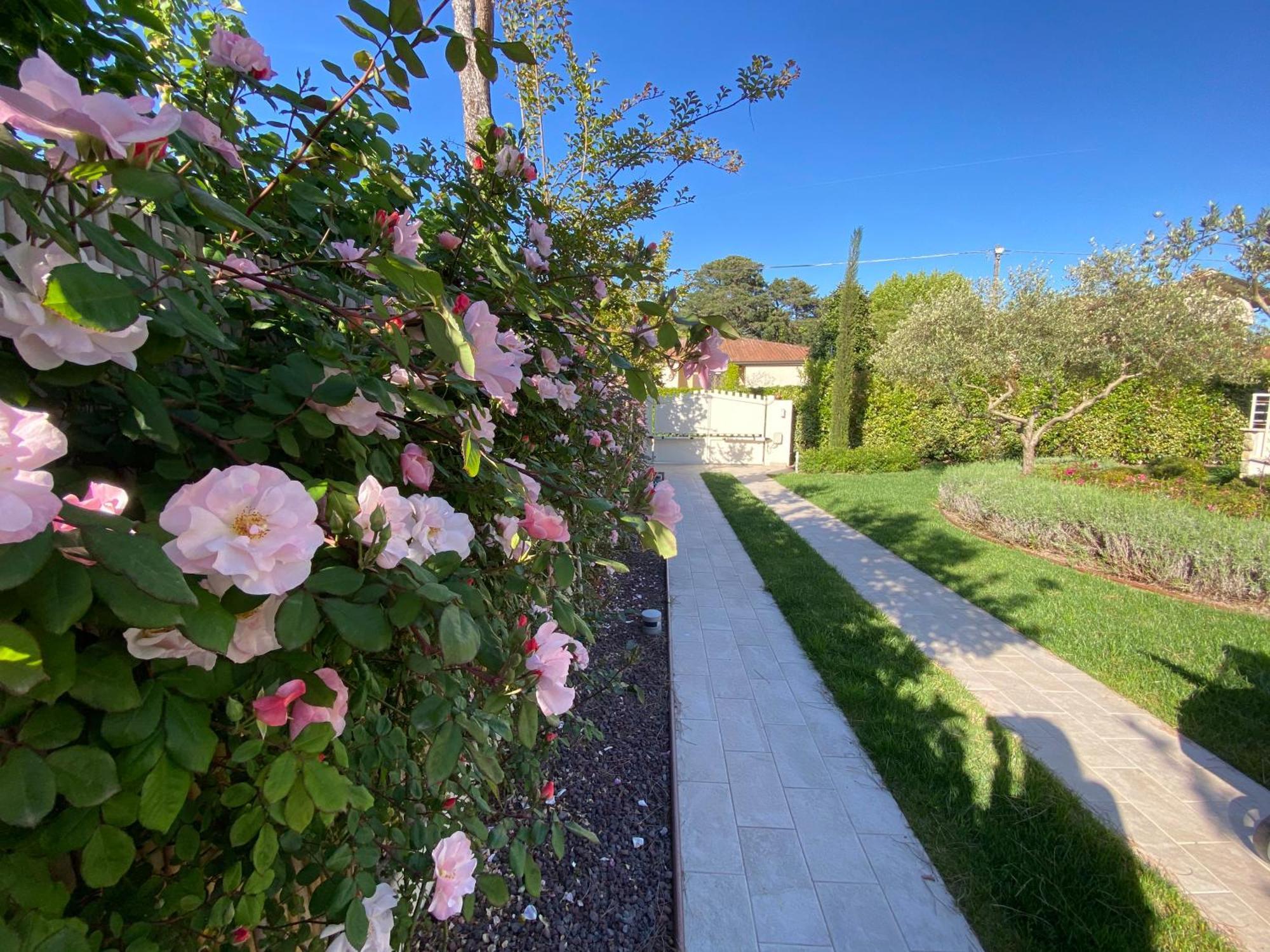 Bellaisa Bed & Breakfast กาไมโยเร ภายนอก รูปภาพ